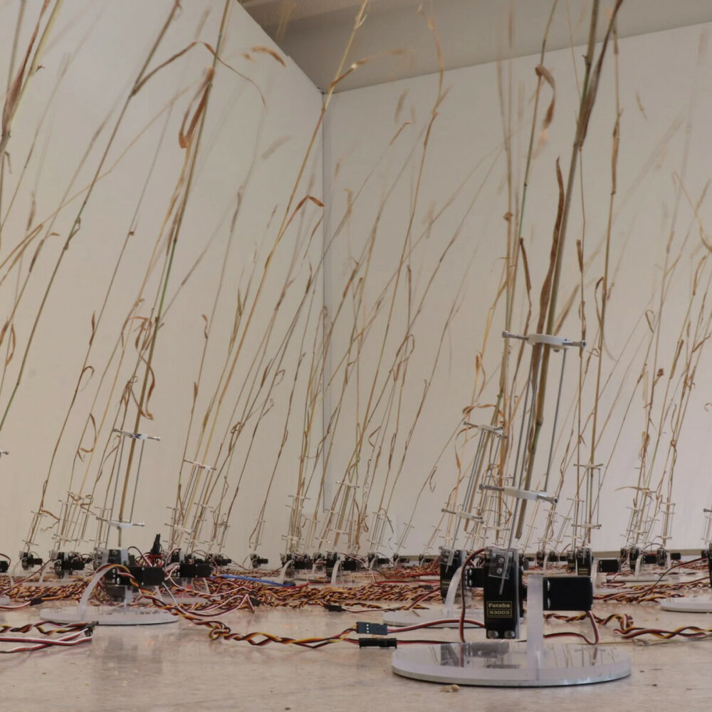 Capture de Telepresent Wind (mars version) de David Bowen