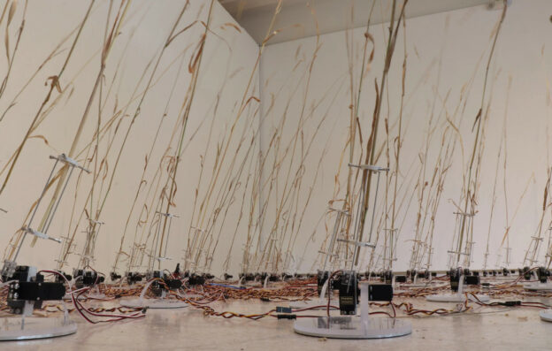 Capture de Telepresent Wind (mars version) de David Bowen