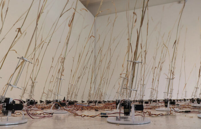 Capture de Telepresent Wind (mars version) de David Bowen